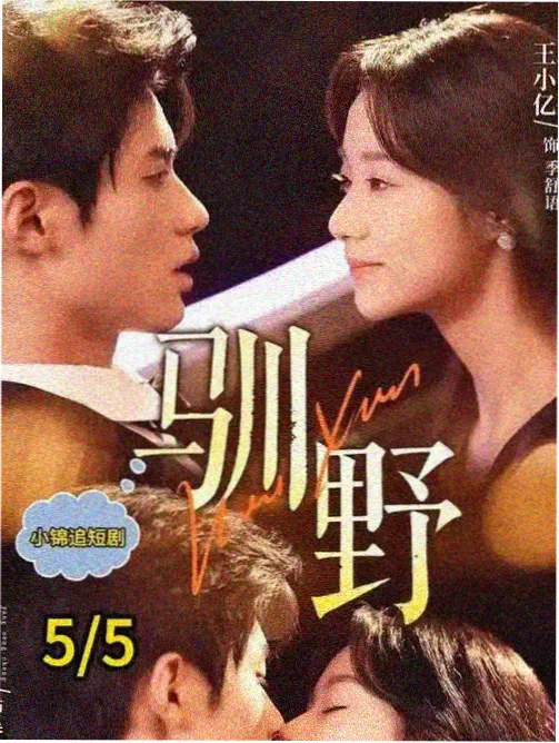 后妈情缘排行榜第二名封面